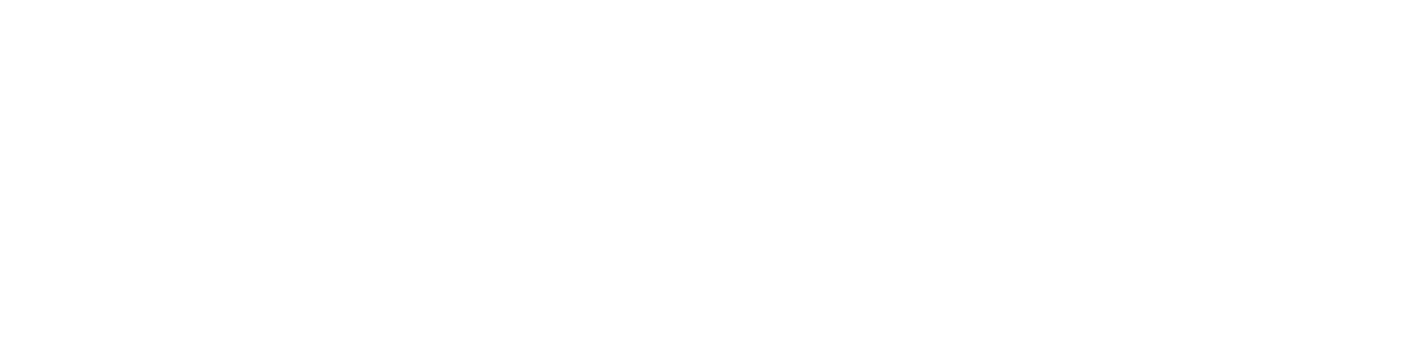 Jaguar Concesiones